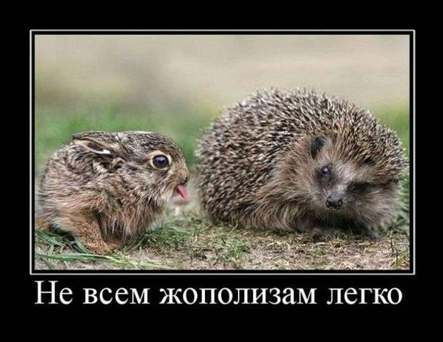 Веселые демотиваторы на выходные