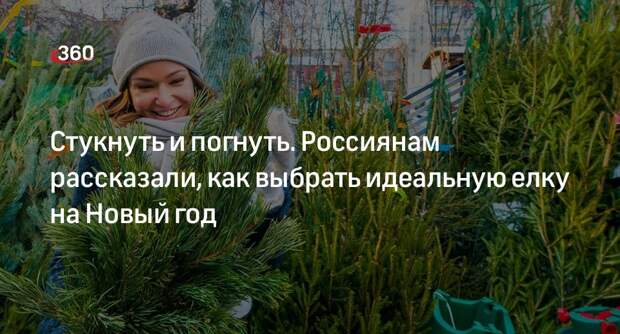 Глава «Елки.ру» Пухарев: новогоднее дерево не должно ломаться и сбрасывать хвою