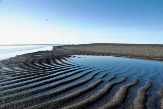 Влияние луны. Влияние луны