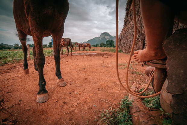 i-spent-20-days-in-cuba-documenting-the-life-of-local-people-10__880