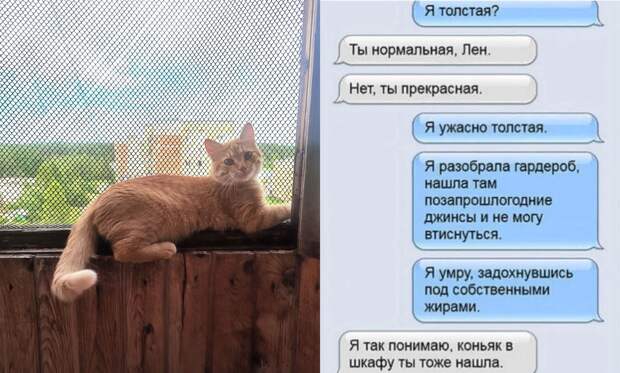Лаки + Яндекс картинки