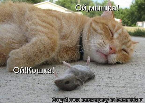 Мысли вслух :)