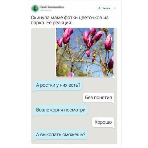 "Ростки"- это святое