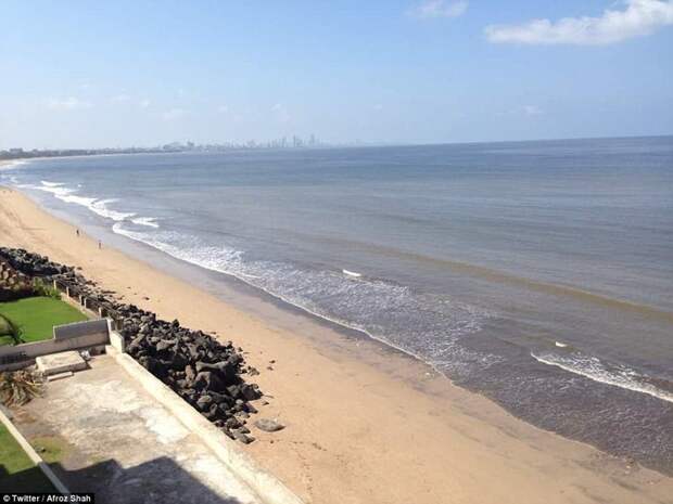 Добровольцы очистили индийский пляж от 5000 тонн мусора волонтерство, загрязнение, индия, пляж