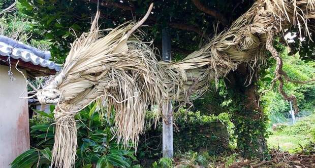 Скульптура гигантского японского дракона из листьев пальмы и дерева