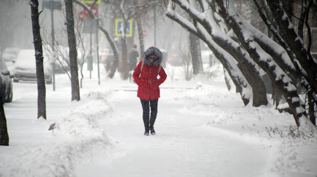В Московском регионе объявили "желтый" уровень опасности из-за метели