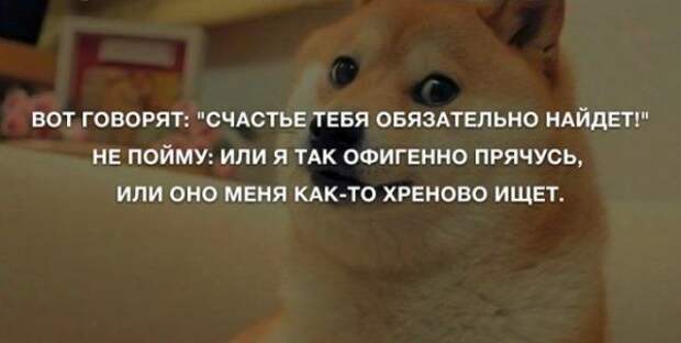 pozitiva-anekdoty-kartinki-smeshnye-kartinki-fotoprikoly pozitiva-anekdoty-kartinki-smeshnye-kartinki-fotoprikoly