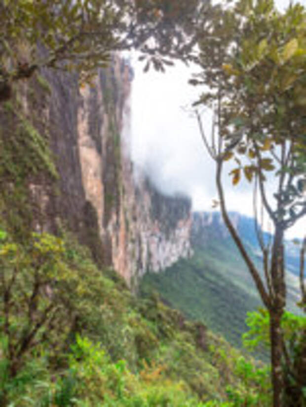 Венесуэла. Плато Рорайма. The plateau of Roraima on the Grand Sabana - Venezuela, Latin America. Фото MaRabelo - Depositphotos