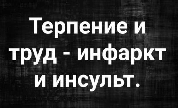 мемы