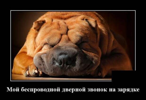 demotivatory-demotivator-smeshnye-demotivatory-demotivator-so-smyslom
