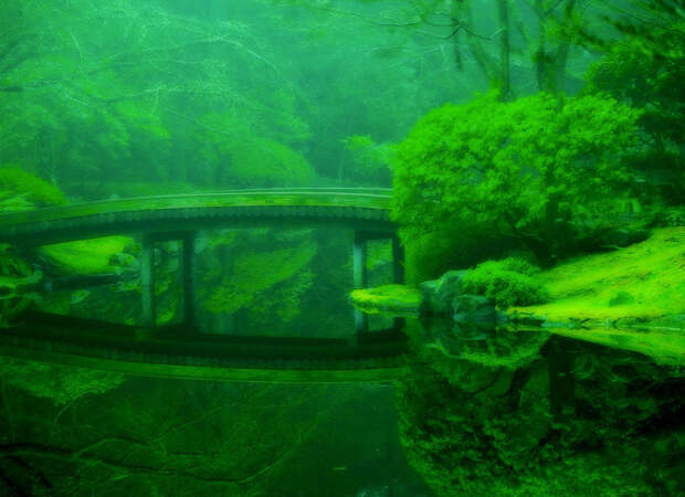 Nitobe Memorial Garden (Ванкувер, Канада) Nitobe Memorial Garden (Ванкувер, Канада)