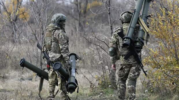 ВС России продолжают освобождение Новопавловки и Новоподгородного