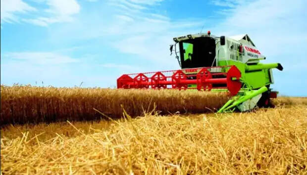 Зерно из Украины «больше нельзя вывезти». Пичалька