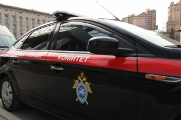 Председатель СК России поручил представить доклад в связи с публикацией о преступном посягательстве в отношении жительницы Московской области