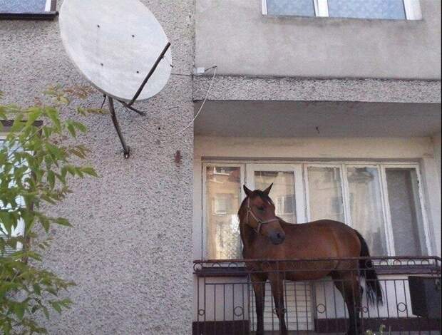 Что-то с реальностью не всё в порядке