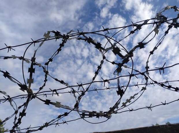 В Оренбуржье пенсионера уличили в убийстве 24-летней давности