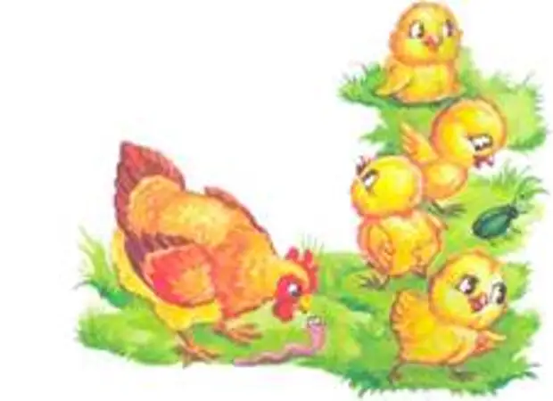 Подвижная игра цыплята. Курочка с цыплятами для детей. Курица с цыплятами рисунок. Картина курица с цыплятами. Рисование Курочка с цыплятами.