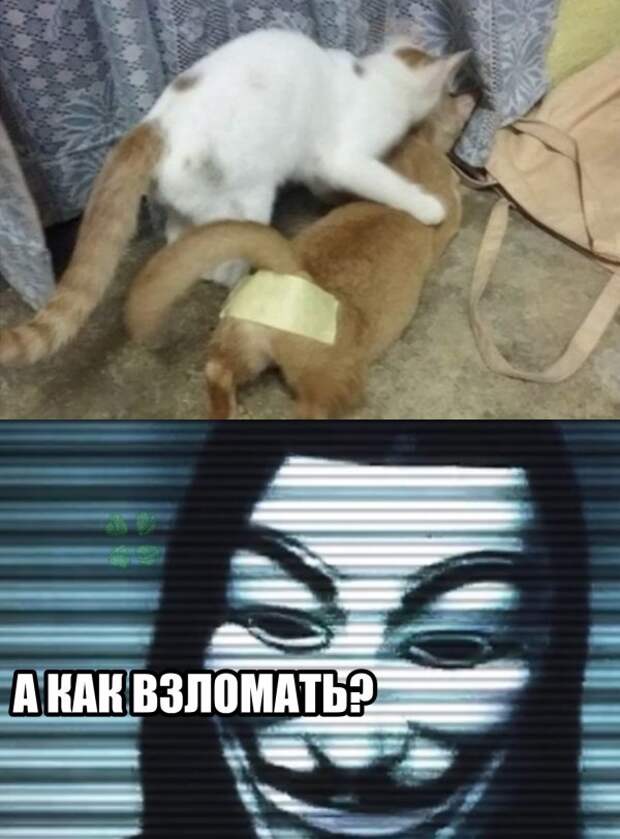 Нестандартный юмор :)