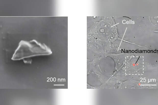 ACS Nano: новые наноалмазы помогут в медицинской диагностике