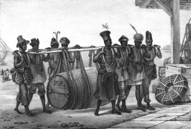 Сухари, черви и крысы: чем питались моряки в давние времена еда, история, крысы, моряки, сухарь, черви