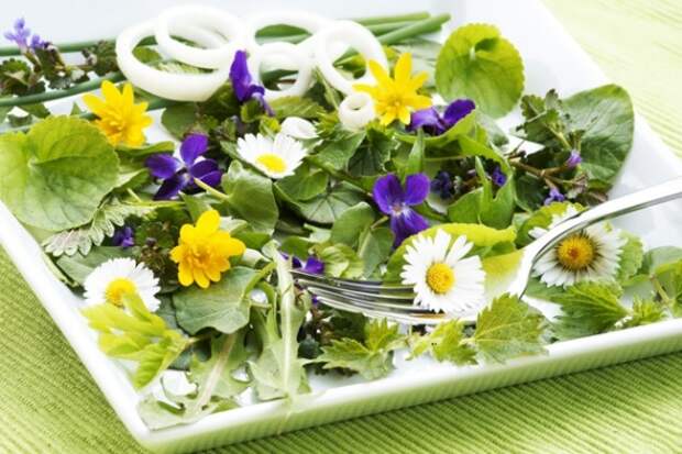 Органическая еда, натуральные продукты: Пожалуйста, ешьте одуванчики – или несколько съедобных садовых сорняков