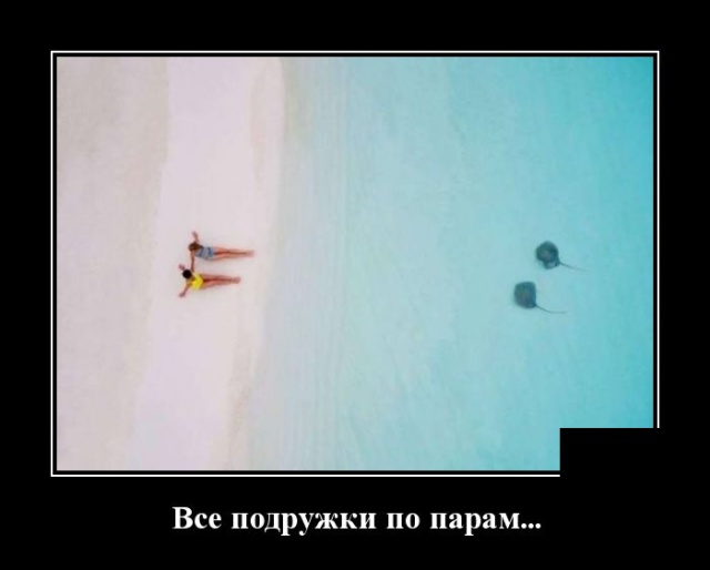 Демотиваторы (30 фото)