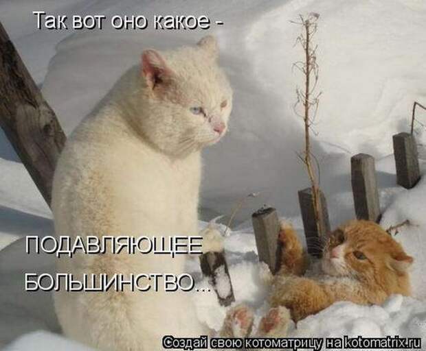 Мысли вслух :)