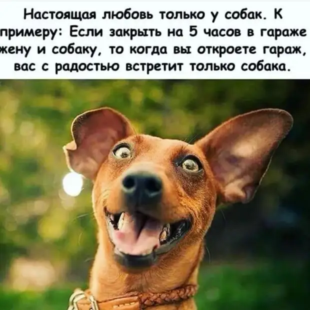 - Дорогая, просыпайся, я принес тебе на завтрак немного твоих любимых денег теперь, живут, человека, ругаются, спрашивает, привезла, петуха, полосатый, только, Валеру, Марковна, мужчина, очень, скажет, понравился, этого, Останавливается, подбирает, приходит, хозяину