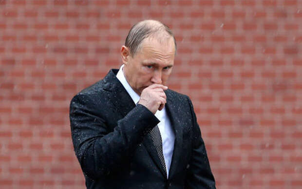 Путин возложил цветы к могиле солдата, несмотря на проливной дождь Путин-годовщина ВОВ, история, факты