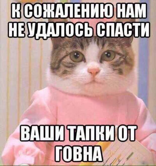 Прикольные картинки и фото 9 сентября (22 шт) Прикольные картинки и фото 9 сентября (22 шт)