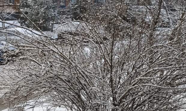 Погода на Кубани: продержится ли снег до Нового года, Рождества и на каникулах