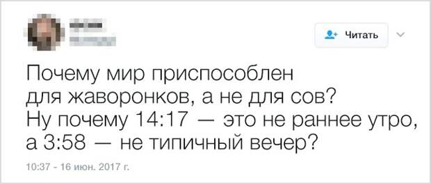Самоирония в забавных твитах (18 скриншотов)