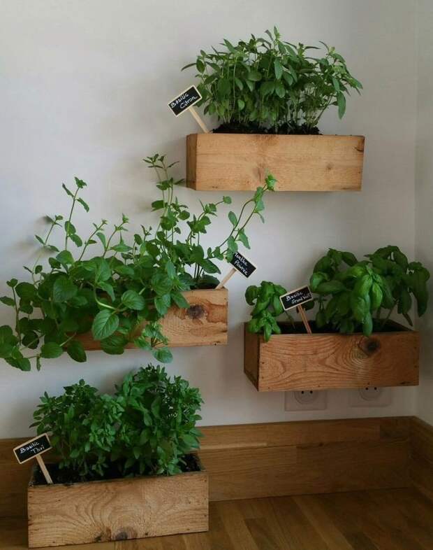 Интересные способы озеленить квартиру зеленый, лестницы, полки, растения, этажерки