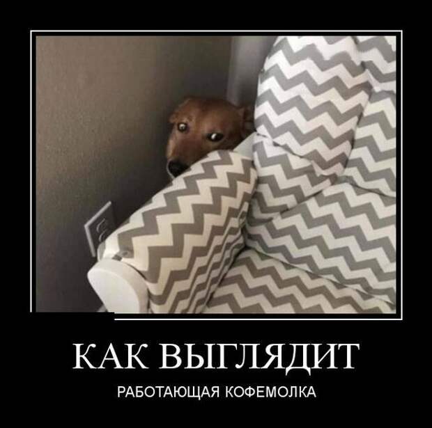Демотиваторы (30 фото)