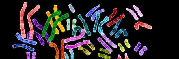 Генетическая двойка: генетические исследования, правила сдачи, проведение процедуры, анализы и расшифровка показателей