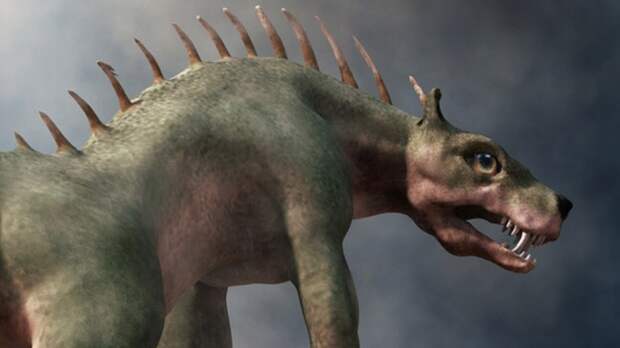 chupacabra