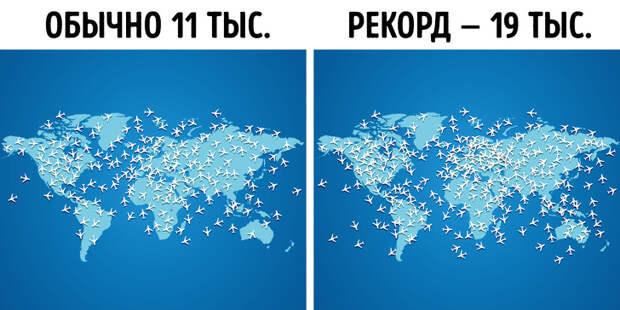 20+ фактов о самолетах, которые позволят пересмотреть свое отношение к полетам