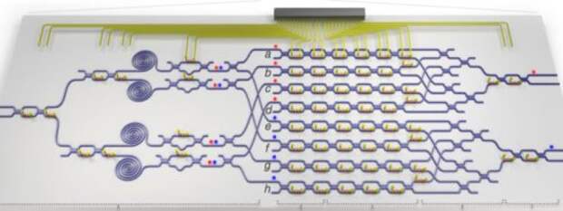 Структура квантового процессора