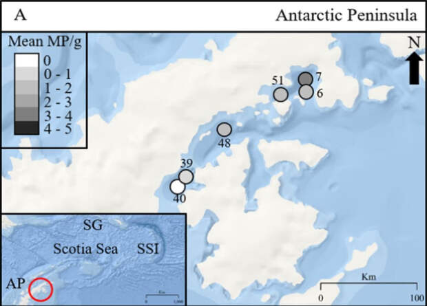 В окрестностях Антарктиды нашли глубоководный микропластик