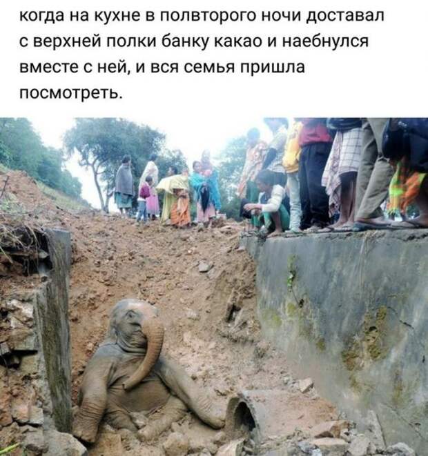 Жизненно