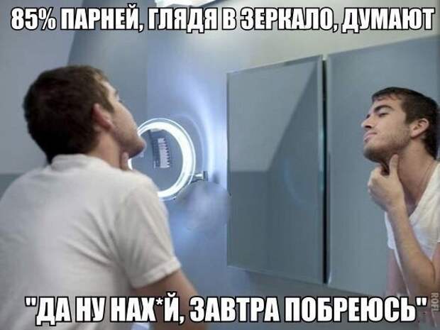 Веселые картинки с надписями Веселые картинки с надписями