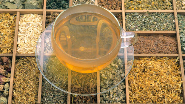 Гастроэнтеролог предупредила об опасности травяных чаев