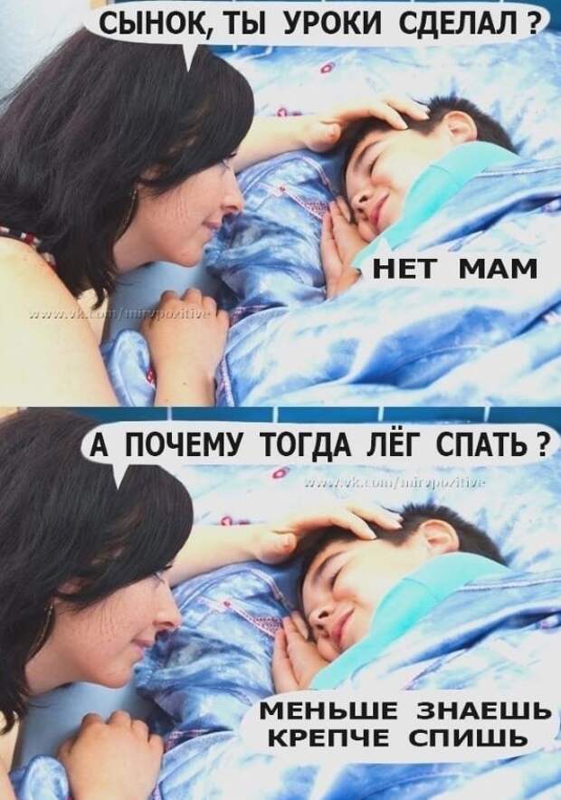 Юмор в объективе: забавные снимки, чтобы развлечься и рассмеяться.