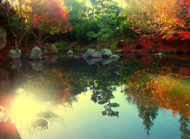 Japanese Garden of Contemplation Japanese Garden of Contemplation