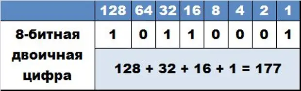 255 десятичная в двоичную. Двоичный вид числа. Двоичное представление цифр. Восьмибитный Формат числа. Восьмибитная двоичная запись.