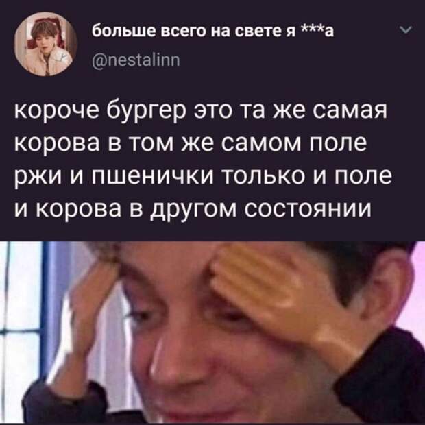 мемы