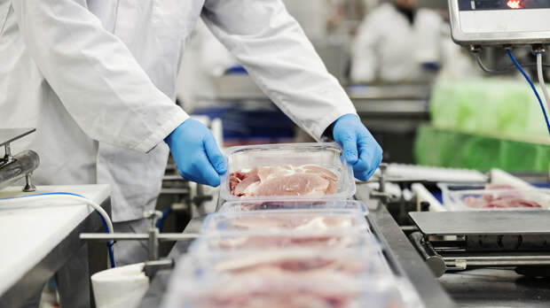 Белоруссия, Бразилия и Парагвай стали лидерами по поставкам мяса в Россию