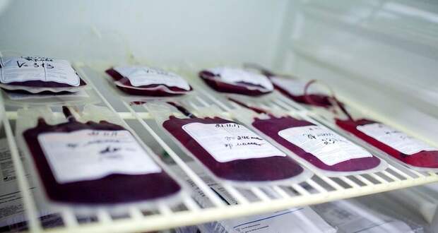 Банк крови: изобретение, спасшее человечество