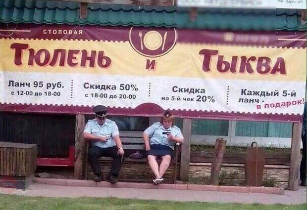 И как такое понимать? загадка, коты, прикол, тайна, холодильник, что происходит, юмор