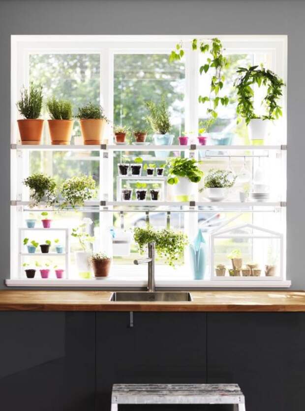 Горшки с цветами — оригинальное и практичное оформление окна на кухне. /Фото: i.pinimg.com